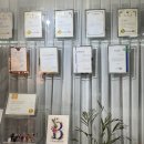 I.B 소프트 | 대전 유성 퍼스널컬러 컬러온더비 여름쿨톤 진단 후기