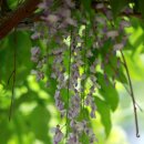 성남시립식물원 이미지