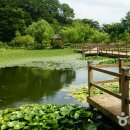 거창생태공원 화장실 이미지