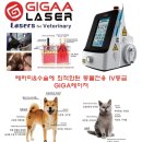 무안동물병원 이미지