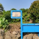 올레길안내소 이미지