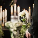 일신장의 이미지