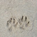 푸르곤 민박 | 2022년의 여행기록...&lt;#제주...#대형견동반 여행&gt;