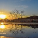 단대공원(농구장) 이미지