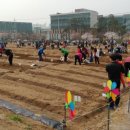 친환경나눔텃밭 이미지