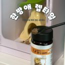 렙타일링크 | "크레스티드게코 먹이 추천! 한방애 렙타일 슈퍼푸드 후기 (귀뚜라미 가루 함유)"