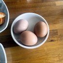 맷돌순두부 이미지