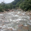 계림농원 이미지