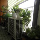 원주종합운동장 이미지