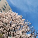 에이본 스퀘어 뷔페 이미지