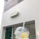 오버릿(OVERLIT) 이미지