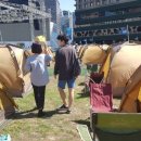 서리풀문화광장3 이미지