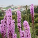 ㈜선일일렉콤 | 영주FM방송, 투데이 뉴스 읽기, 9월 11일 (영주시, 봉화군, 예천군)