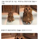 부엉이 PC방 이미지