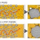 주식회사 고속에너지 화이트페이퍼