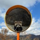 제일사슴농장 이미지