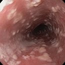 르봄여성의원 이미지