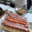 회마루 티스토리