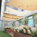 미니마니몽 이미지