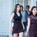 조이드림 이미지