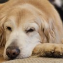 몽글몽글 이미지