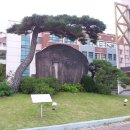 영주제일고등학교 이미지