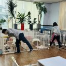 엘제이펫 이미지