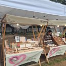 썸데이제로 | 썸데이페스티벌 2025 리뷰: 부스/이벤트/푸드/포토존/충전 관련 정보