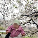 (주)코메나앤디에프 | 아기 323일째