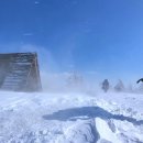 영상목장 이미지