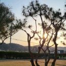 가평솔마당 이미지