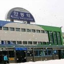 진성전자 - 울릉군 울릉순환로 532 | 진성전자