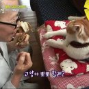 상귀농장