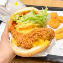 근력(코어)운동 및 체조교실A반 | 휠렛 버거 다이어트 완벽 가이드