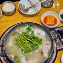 속편한대구탕 | 강원도 속초 맛집 | 깊고 맑은 국물이 일품인 황대구탕 방문 후기 (생대구탕 / 아바이순대)