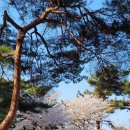 영화마을김밥 이미지