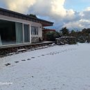 세화 동백그늘 이미지