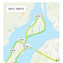 2025 춘천봄내마라톤 하프 참가 후기!