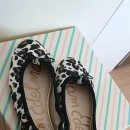 새신바람 이미지