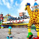 하중도길 이미지