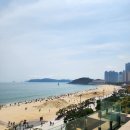 신오션