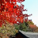 월봉사 - 1558 | 월봉사