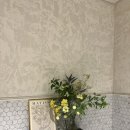 아일랜드스테이 이미지