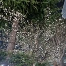 비땅기헤어 이미지