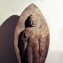 화광농장 이미지