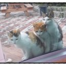 부영농장 이미지