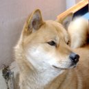 방배2동018_ 이미지