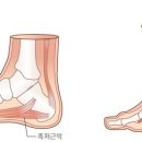 서울진마취통증의학과의원 이미지