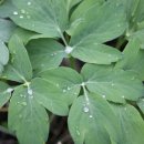 양지편2로 이미지