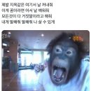 쉬갈 | 엊그제티빙도털렸겠다 내일상궁금하시면보내드리겠습니다